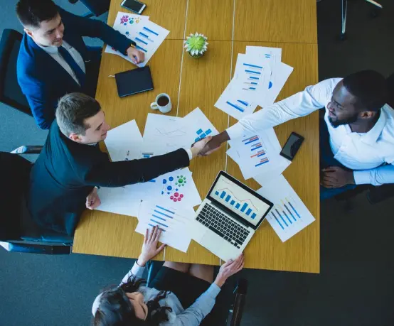 Ecommerce it solution